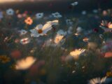Ленком вне Юноны: редкие постановки, вдохновившие современное театральное развитие 1 Ленком вне Юноны: редкие постановки, вдохновившие современное театральное развитие